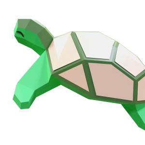 Turtle Merry